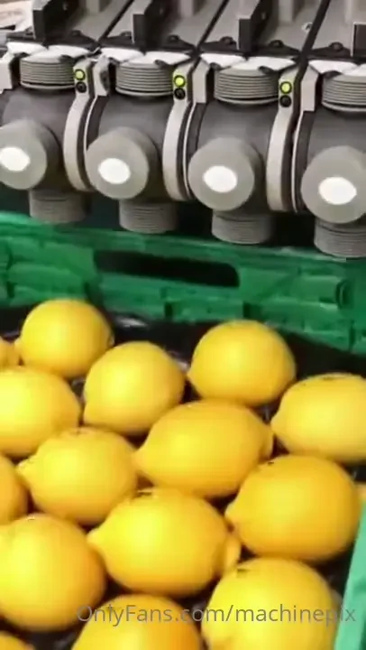 Labeling lemons with an ldi 20 label dispenser by bizerba 