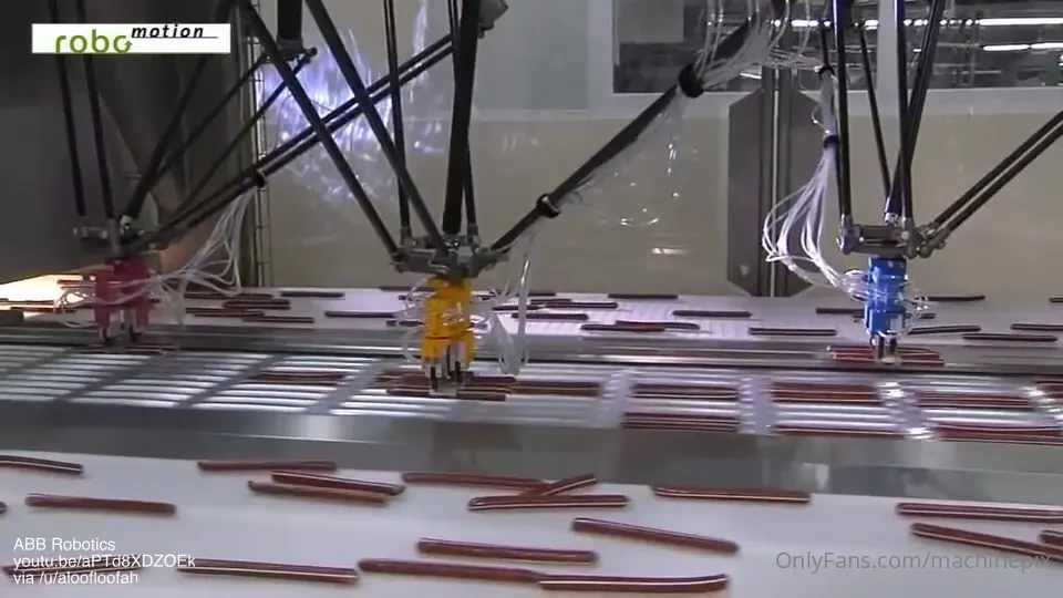 Packaging pork jerky snacks with abb flexpicker robots 