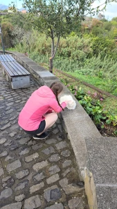 Hard nips at the third highest mountain of madeira a cat in mashiko part 12