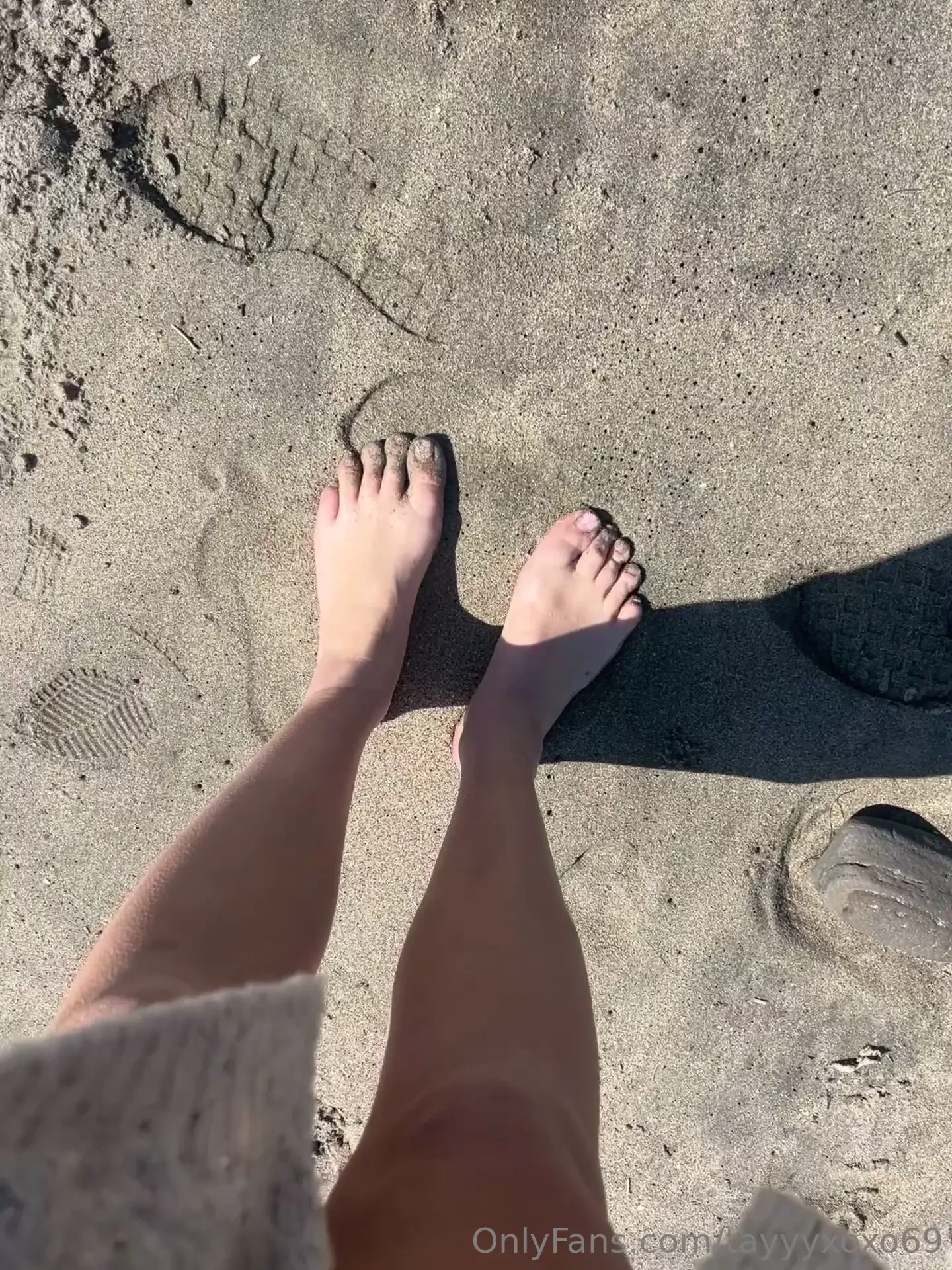 Morning walks part 4 