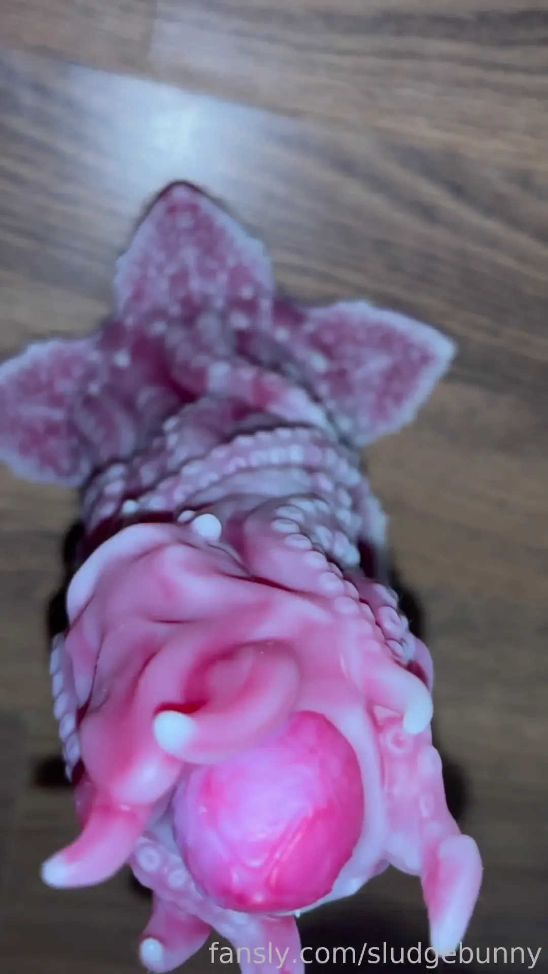 I tried filming with this dildo last night but it just wouldn t go in 