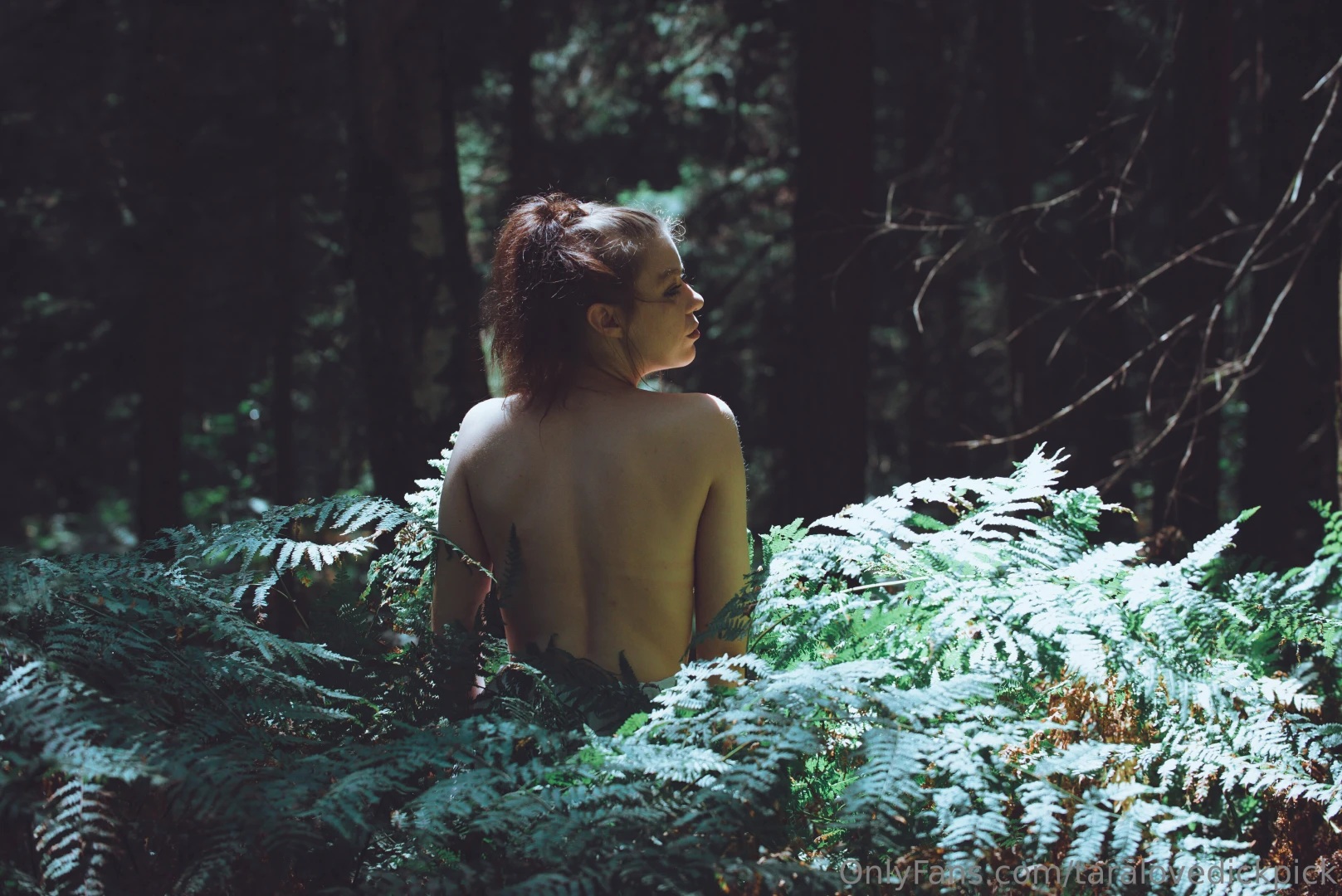 7 day competition for best dick pic of the week challenge comment a 