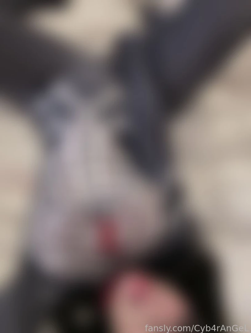 Hiiiii web me plsplsplspls 