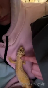 I adopted this baby from a local reptile rescue when we went to the