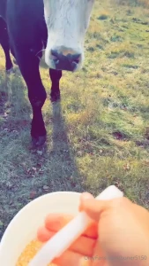 Welll happy ending for lovey he s back on our land he got some cardio