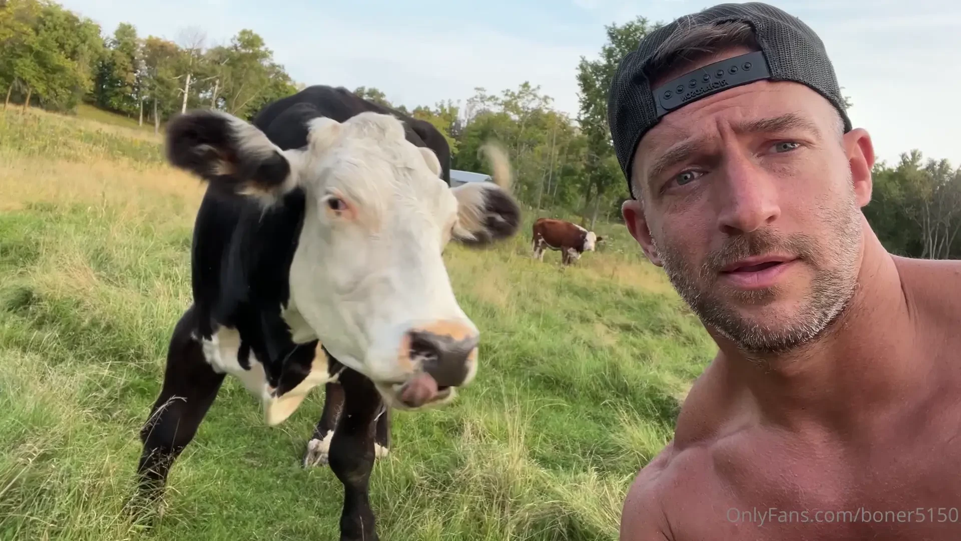 So got cows now dotty lovey and black beauty just some homies 