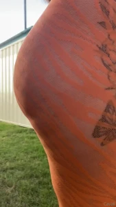 What do you think about the orange i m undecided