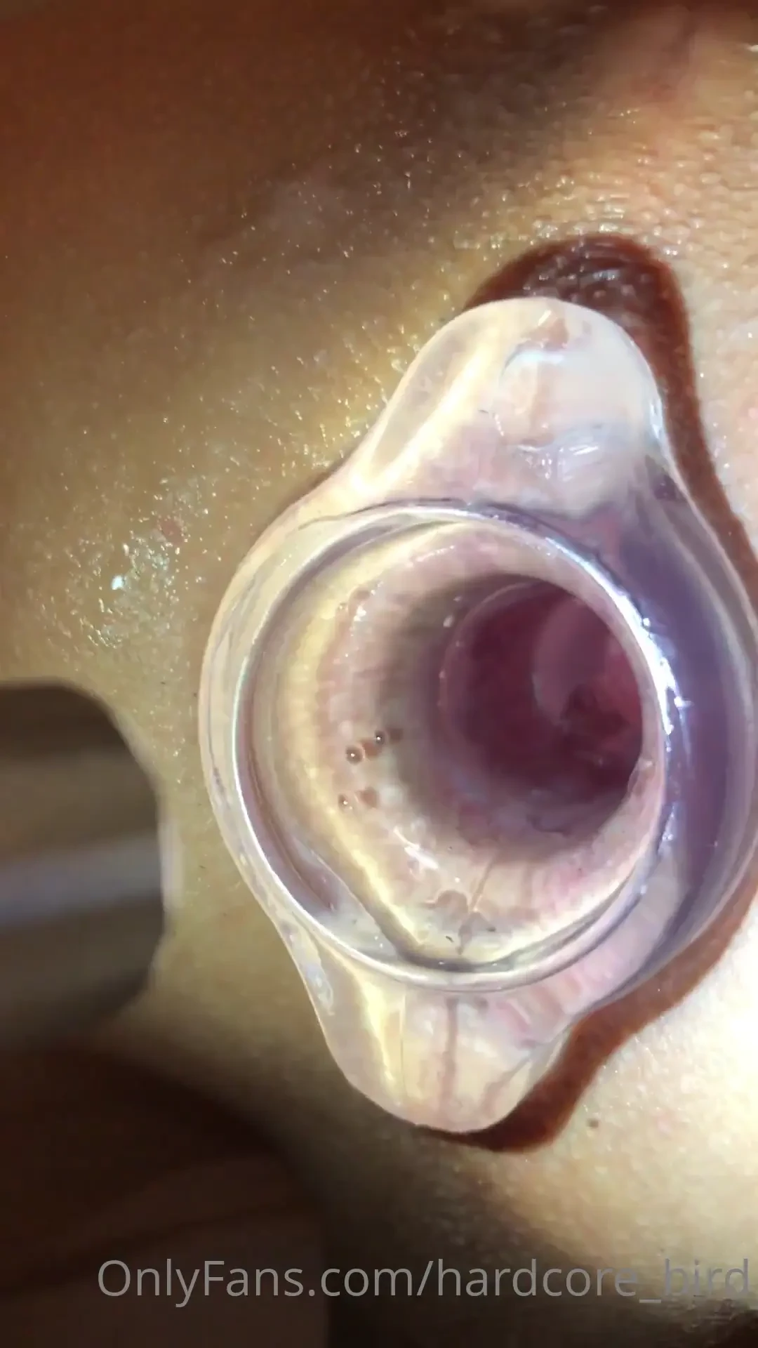 Spelunking fun 3 to watch short video 