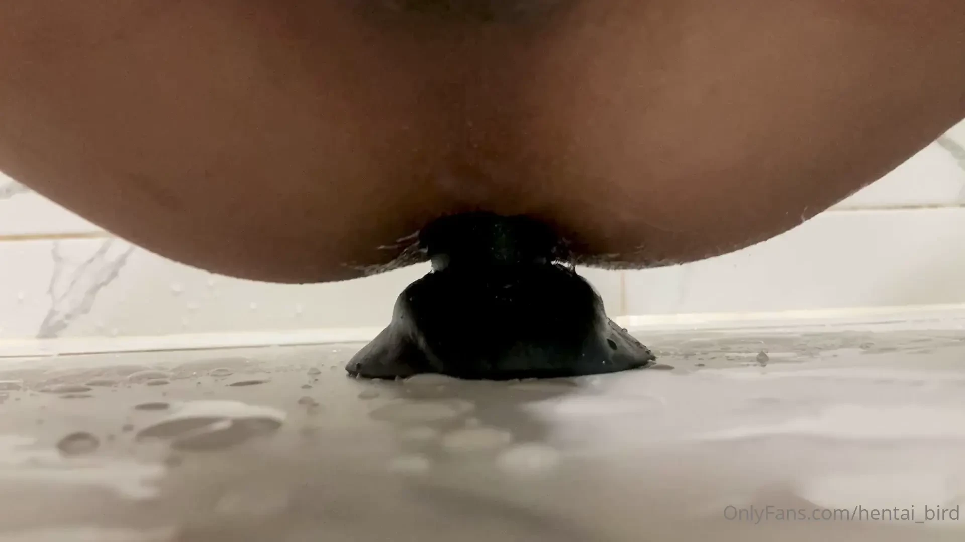 Canine dildo fun it s been a while but still love this knotted toy can 