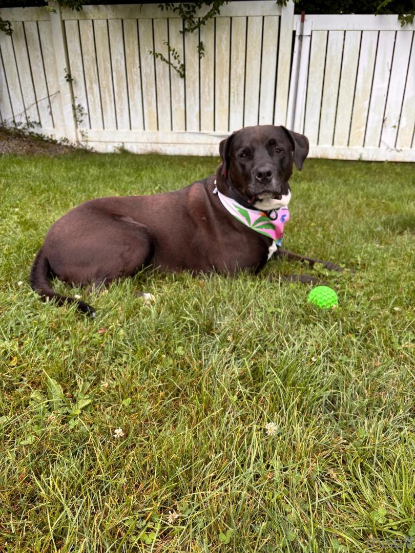 Cant get enough of this cutie i love him so much part 2 