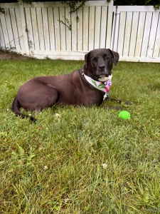 Cant get enough of this cutie i love him so much part 2