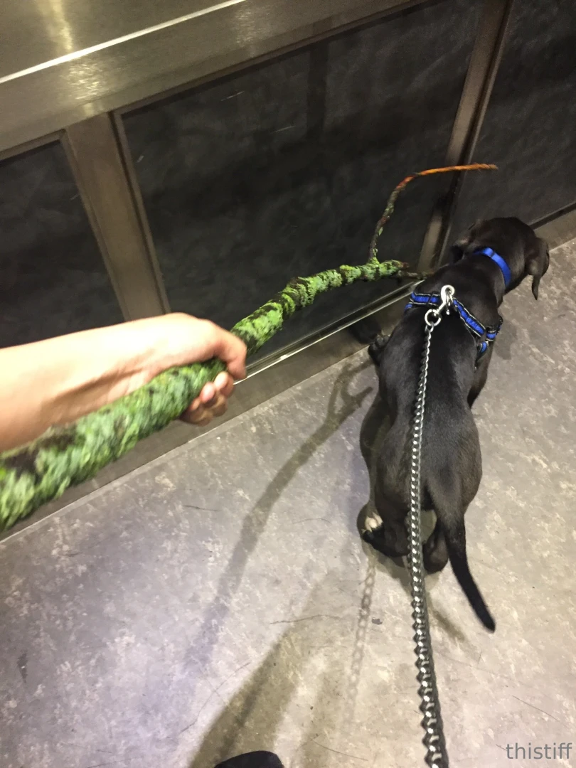 Cant get enough of this cutie i love him so much 