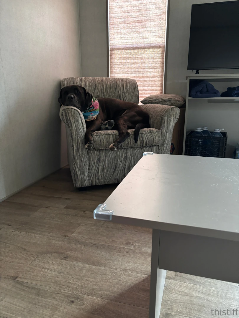 Cant get enough of this cutie i love him so much part 1 