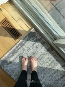 Enjoying the sunlight