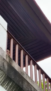 I know you miss me part 14