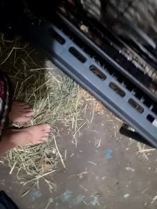 New hair color and feet in hay hope you enjoy more new content cumming part 2