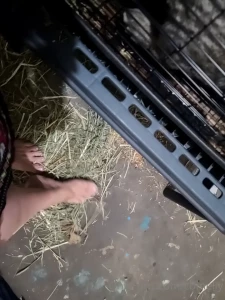New hair color and feet in hay hope you enjoy more new content cumming part 1
