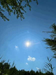 Nice sun day i love nature and hot days part 4