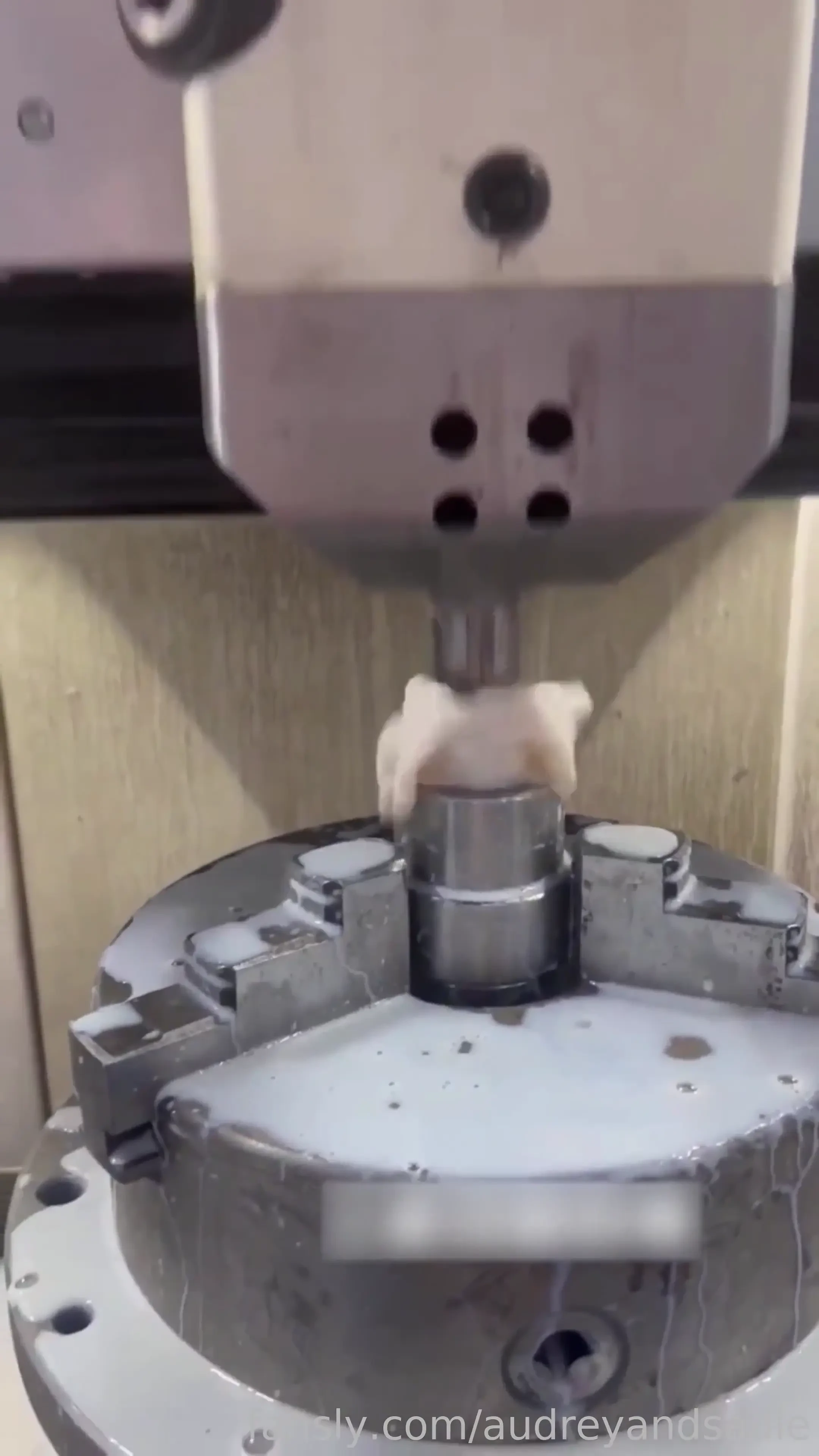 Uhh tiktok sundress sexting aussie boobs tits 