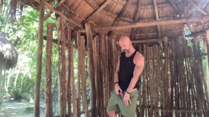 Cock out in the jungle