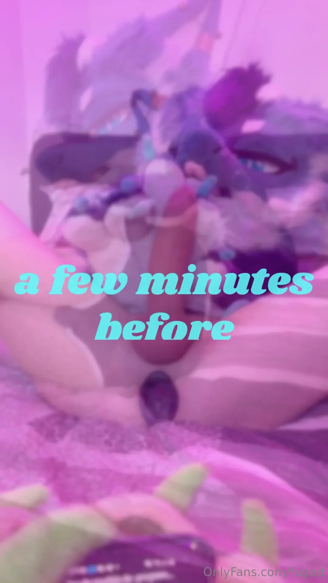 Looks like mardao suprised his dragon having fun with the last toy 