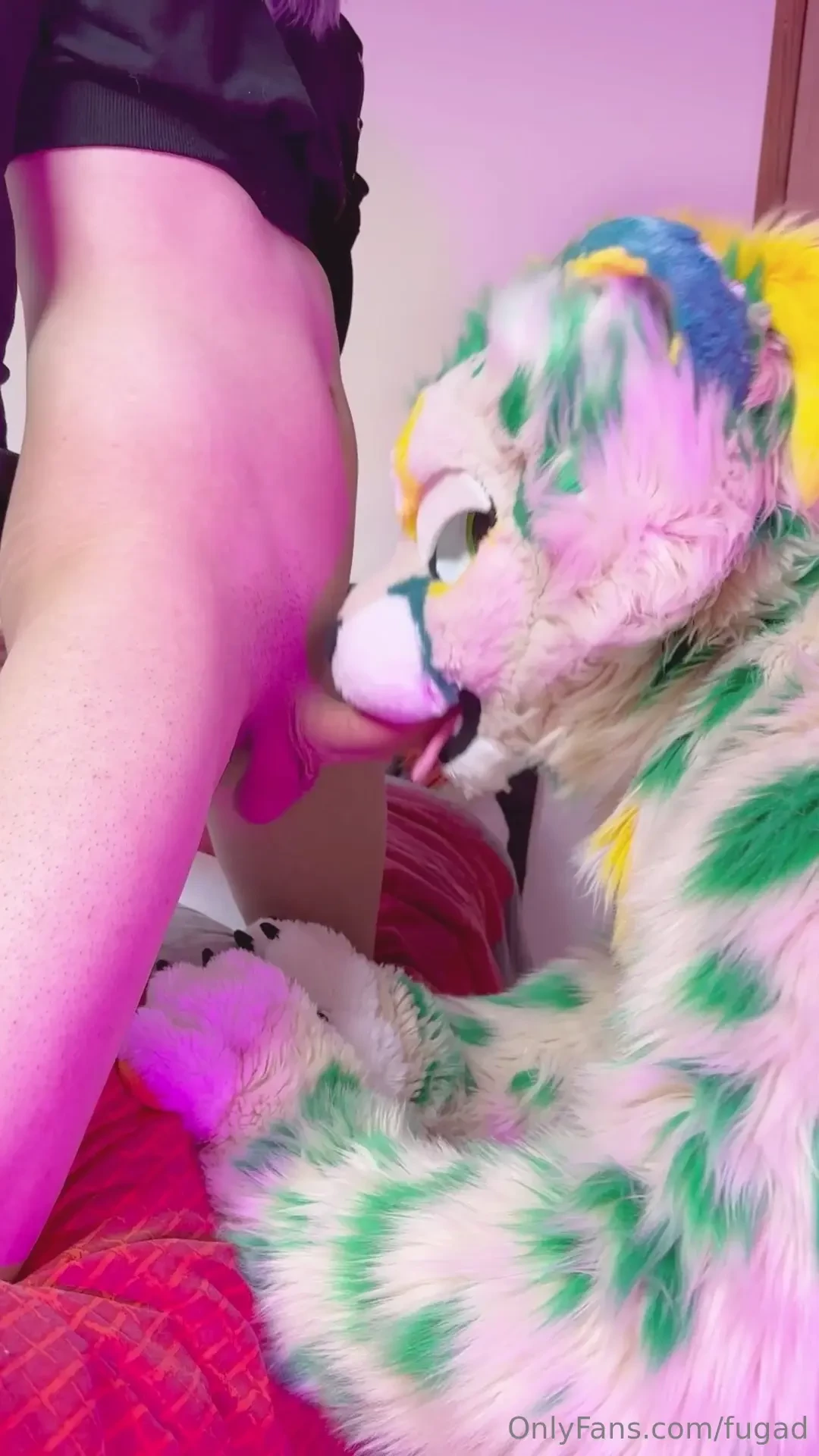 I inform you guys that now the videos will be posted a week earlier on 