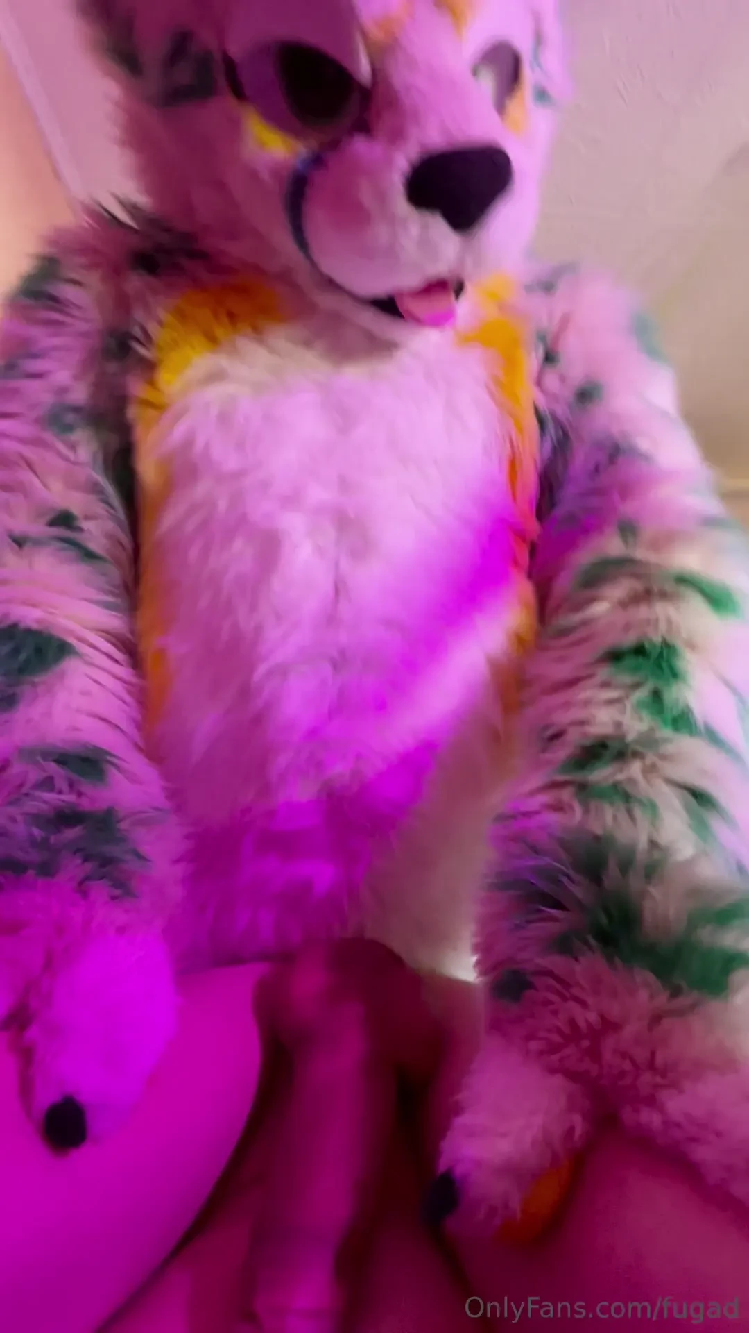 This cat just bred me and it s not enough for him gt gt i was so tired 