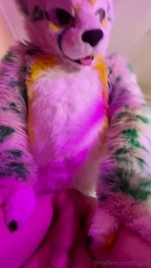 This cat just bred me and it s not enough for him gt gt i was so tired