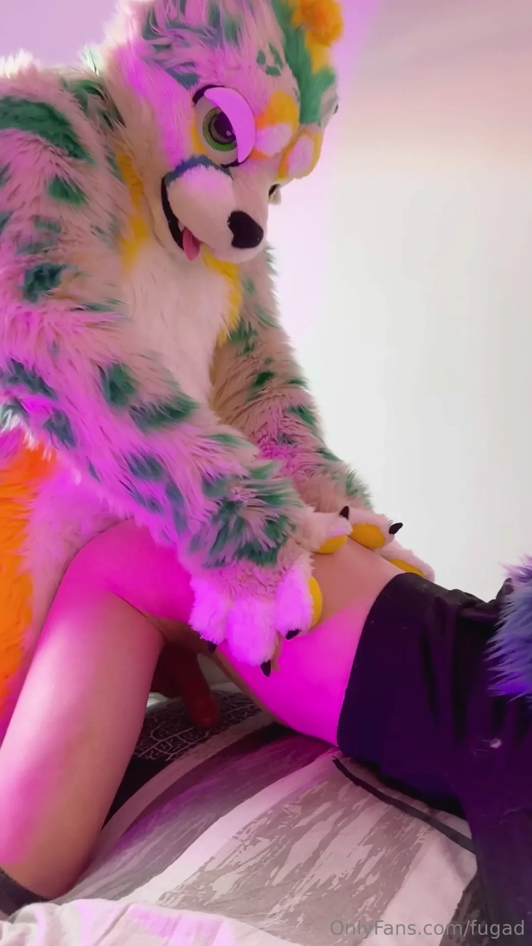 What are you looking at like this mmffff a derg need to be bred too to 
