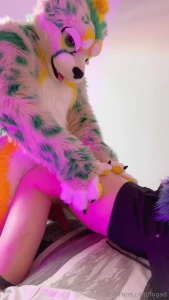 What are you looking at like this mmffff a derg need to be bred too to