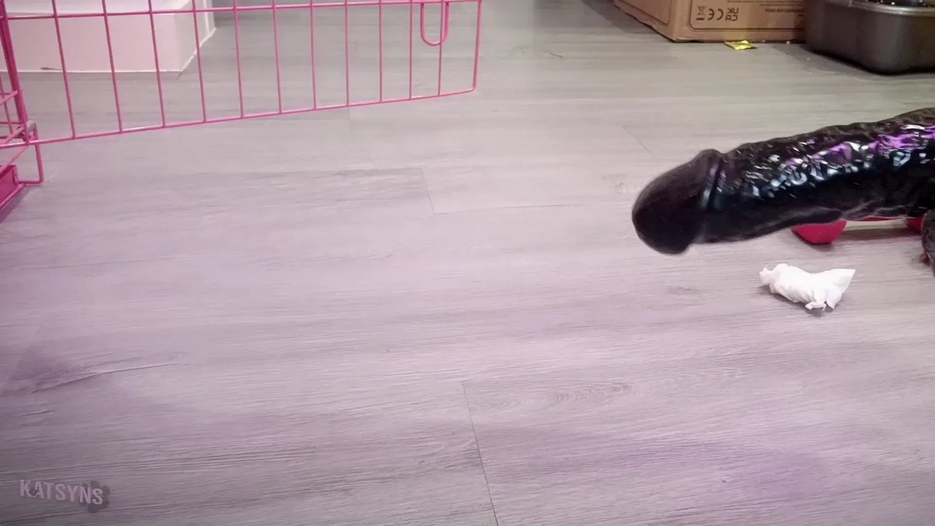 Good feminized pups need their training luckily a fucking machine 