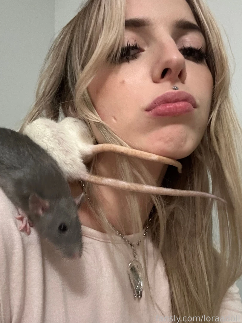Hiii there i want to show you my favorite animals they re cute rats i 