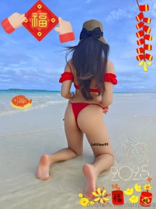 Happy chinese lunar new year