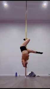 My goal for 2024 is to buy a pole for my house so i can make custom
