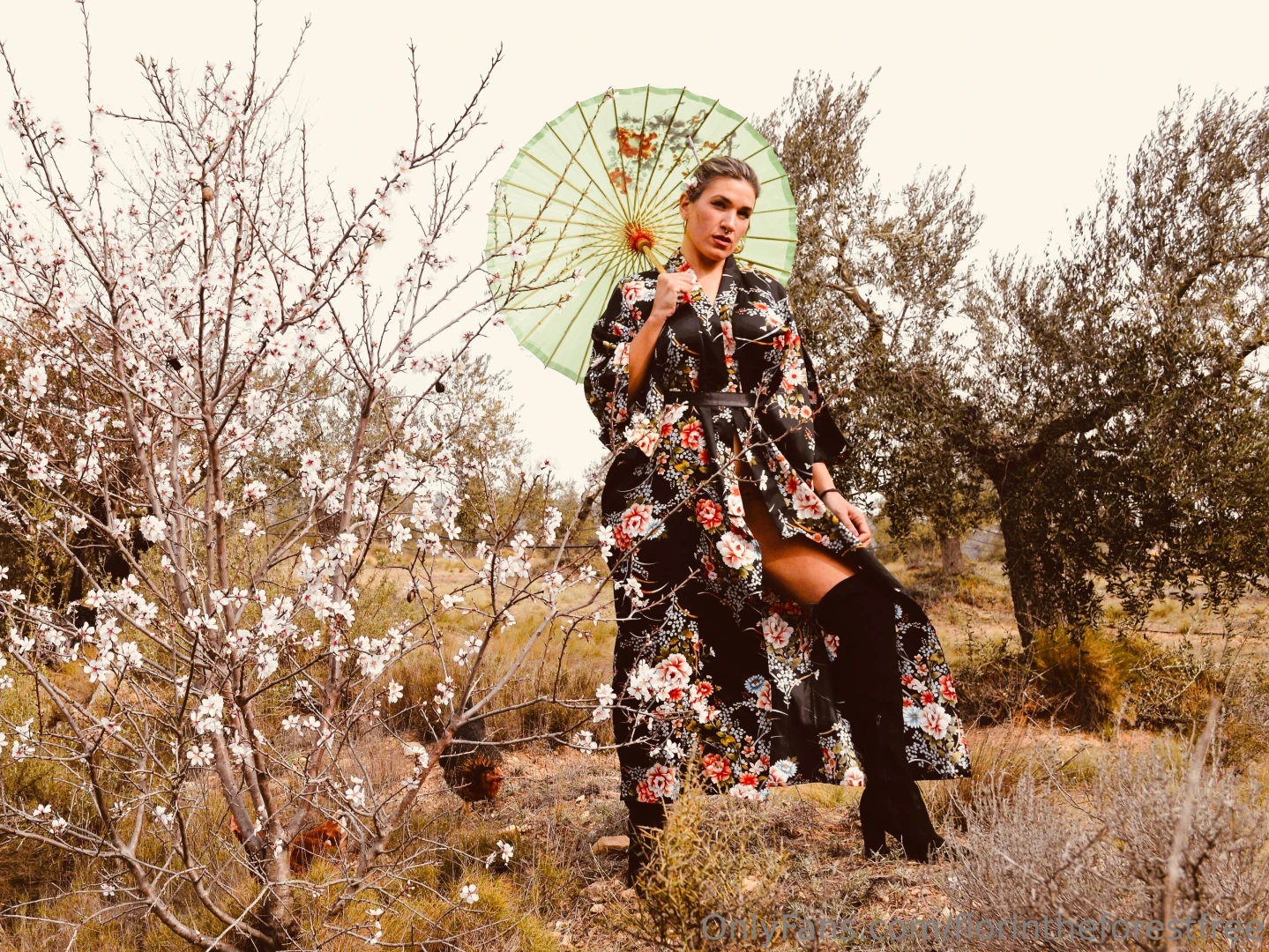 Feliz viernes geisha c mo me queda 