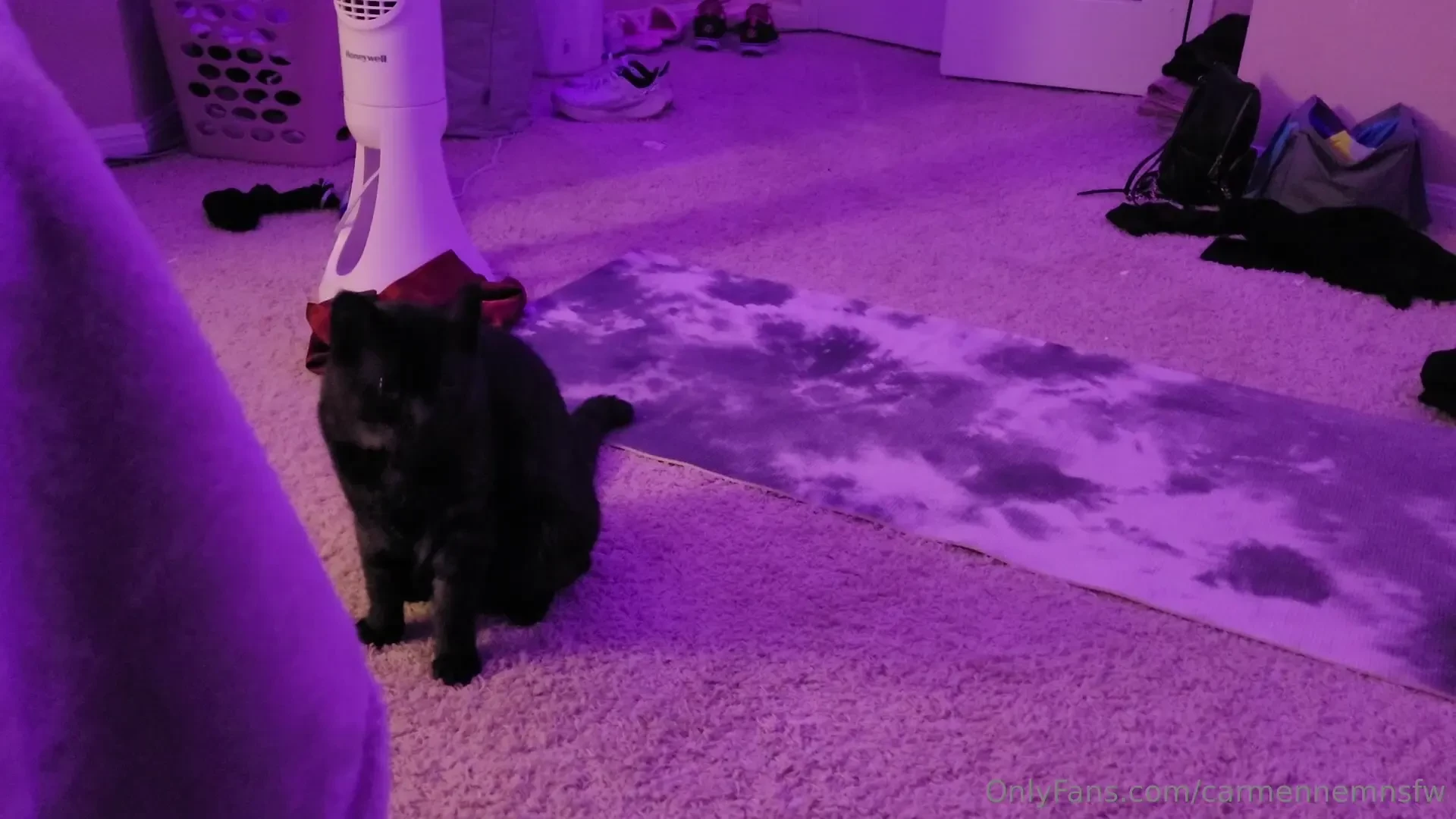 Filming a new set and this happened 