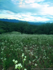 Una tarde en la pradera part 7