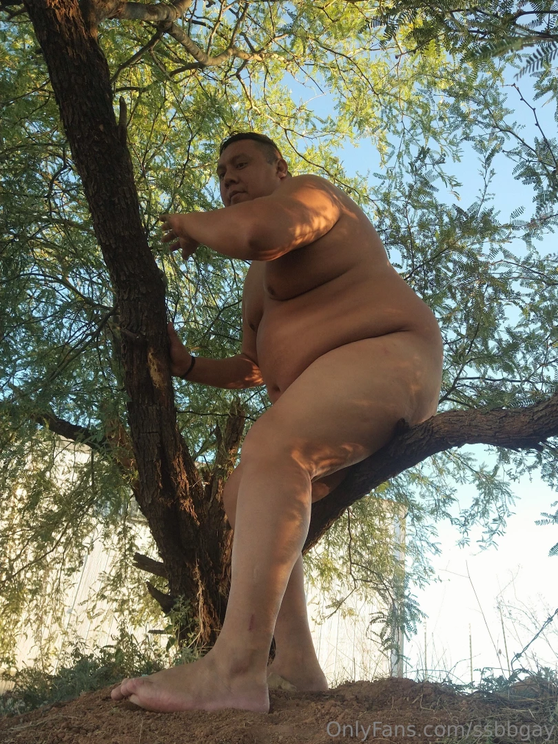 Curioseando dentro del terreno part 7 