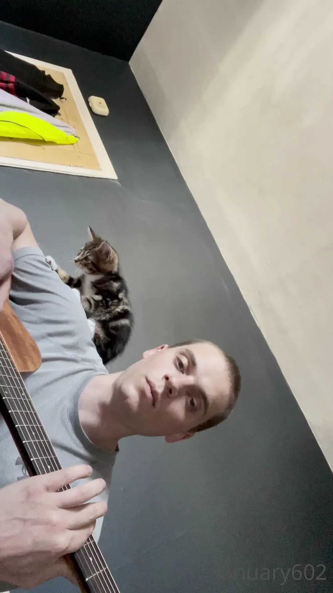 My guitar game could use some work but kitten game is 