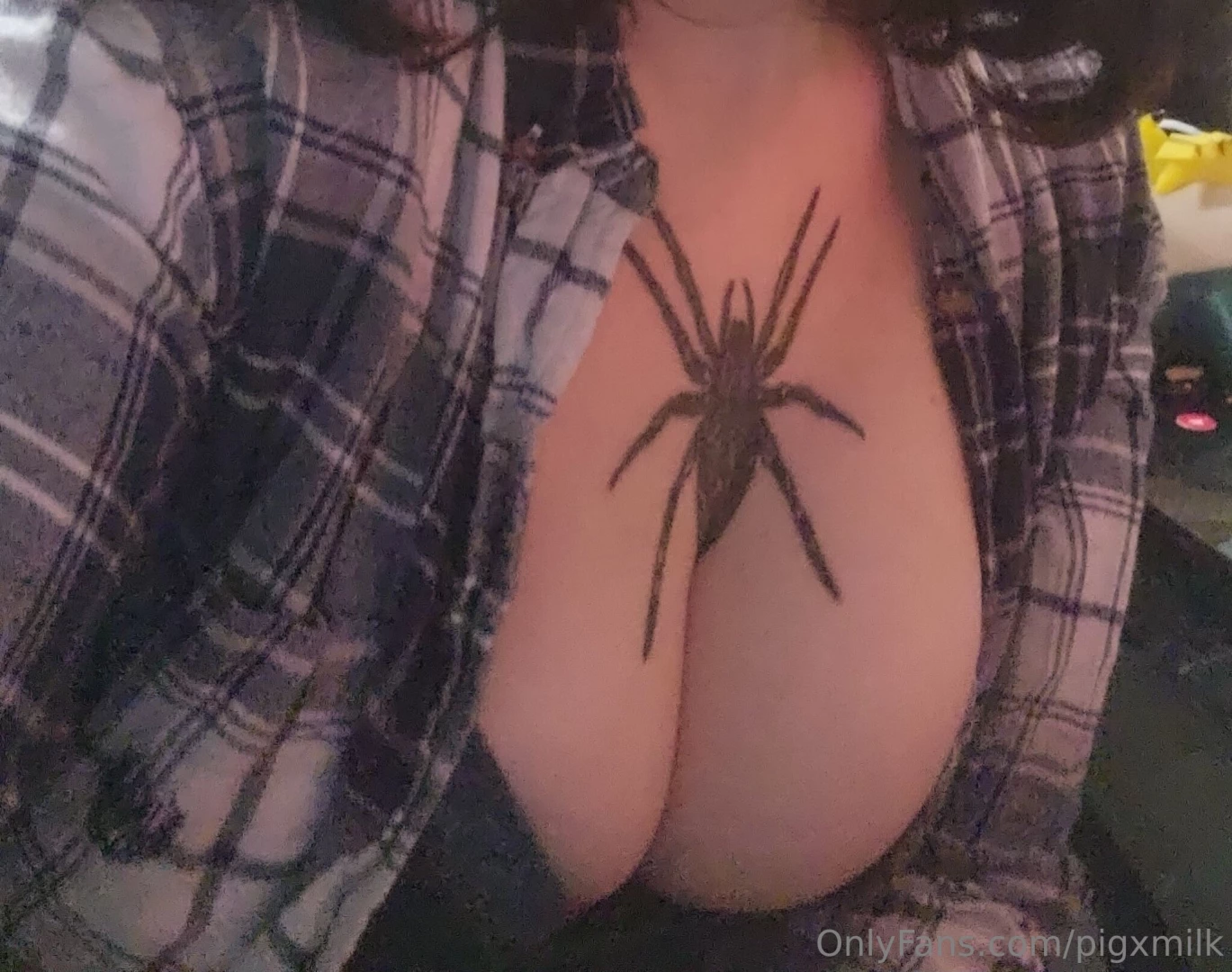 Spider rawr 