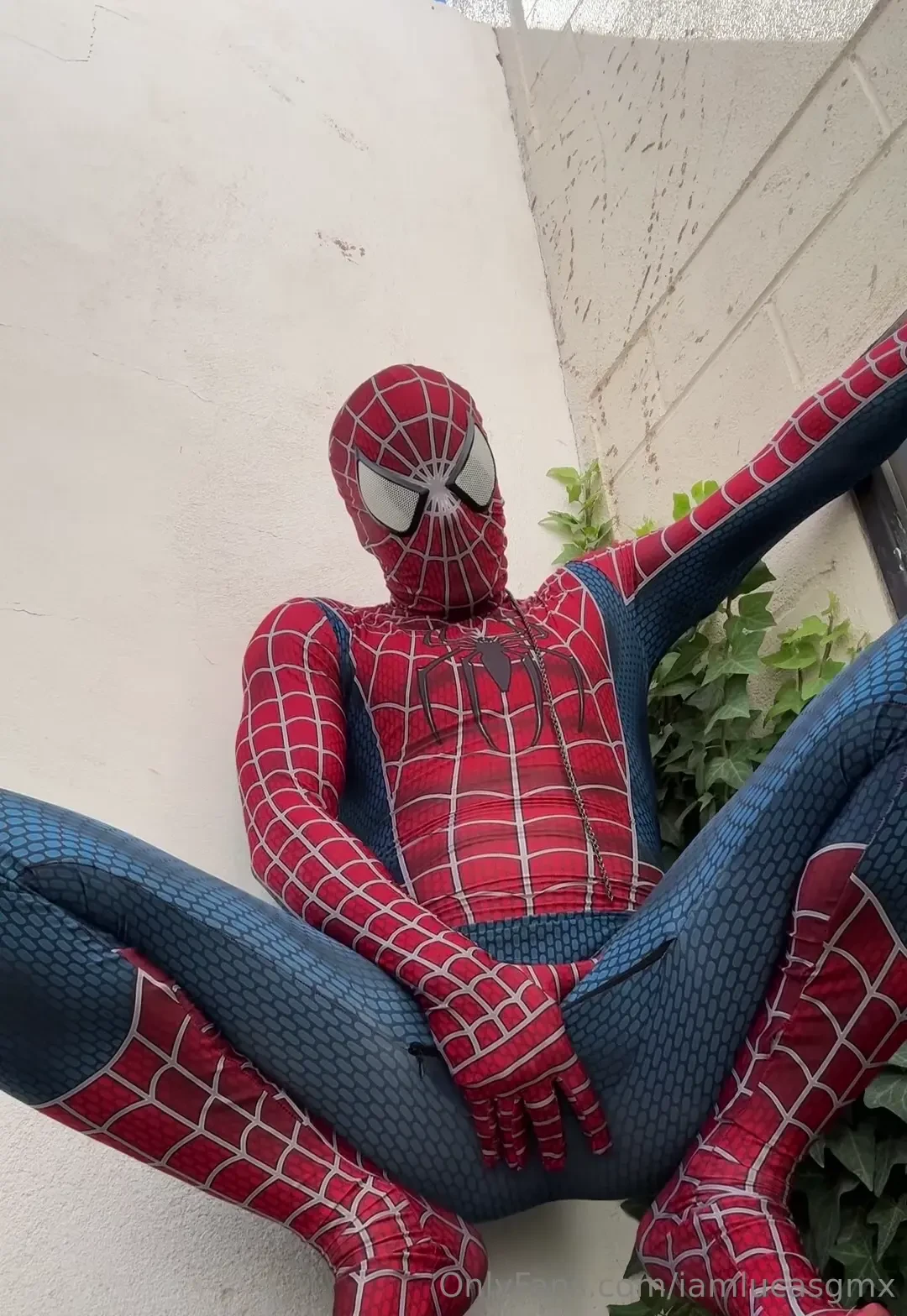 Petici n especial s per h roe 