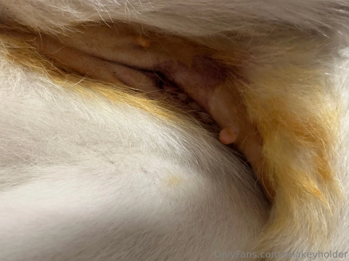 I don t know of can ban this post or no thanks to everyone who 