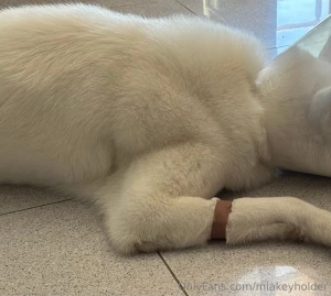 My dear subscribers i am very happy that you like me and what i do for