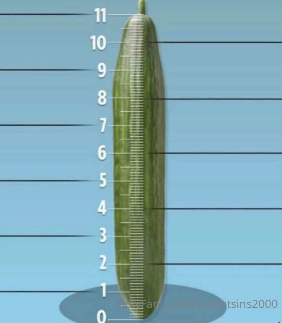 It s dick rate o clock tip me 5 for music number rate or 10 for a 