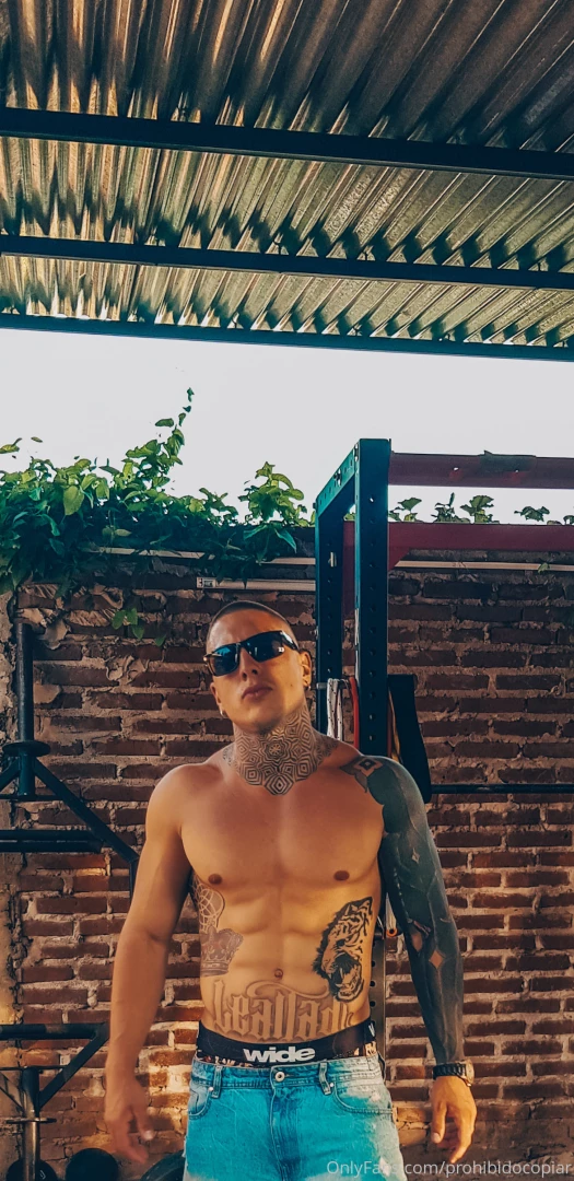 Prohibidocopiar part 28342 