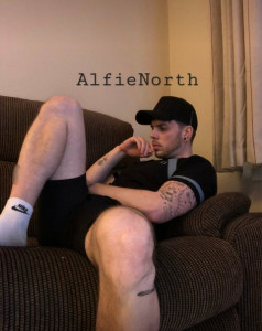 alfienorthfree